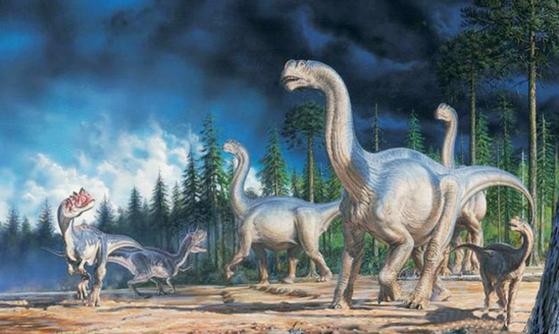 非洲发现恐龙化石，刷新了人类对恐龙的认知