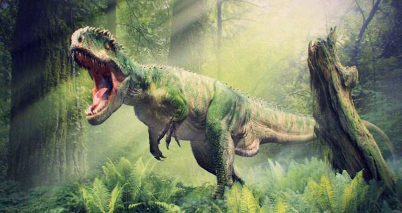 揭开6500万年前恐龙灭绝之谜的真相：地质学家终于找到了答案！
